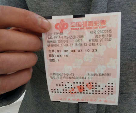 成人在线二区